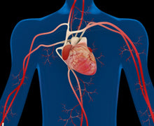 Higher Carotene Levels Linked to Clearer Arteries