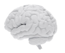 Exercise Makes Old Brains Seem Young