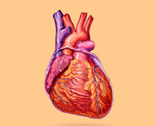 Fasting is Good for the Heart