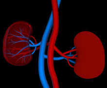 Exercise Helps Kidney Disease Patients Live Longer
