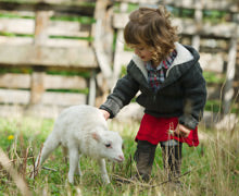 Babies on Farms Build Better Immune Systems