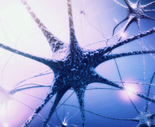 Intermittent Fasting Helps Heal Nerve Damage