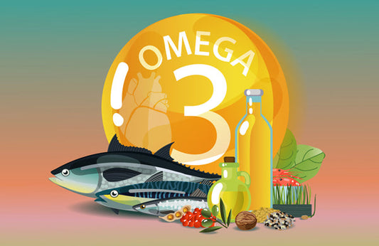 Omega 3s May Protect Women from Alzheimer's