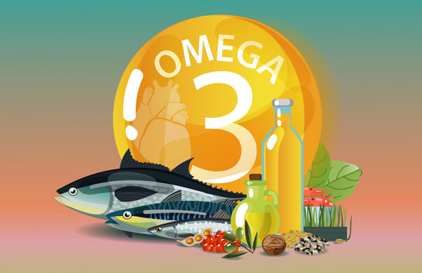 Omega 3s May Protect Women from Alzheimer's